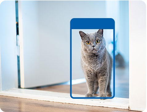 Smart AI detects a pet