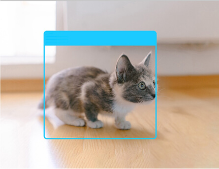 Smart AI detects a pet