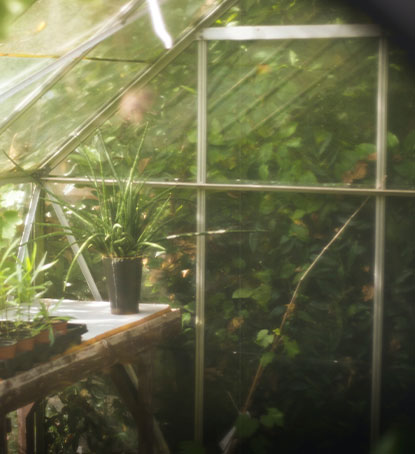 a green house