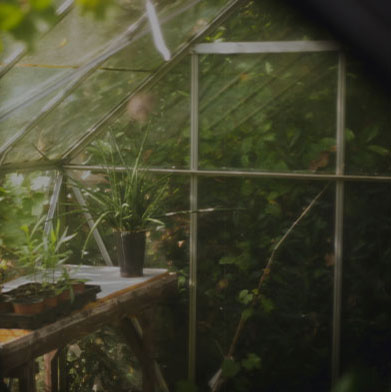 a green house