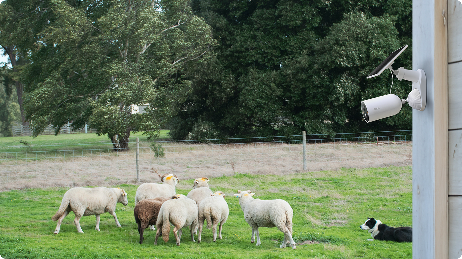Farm