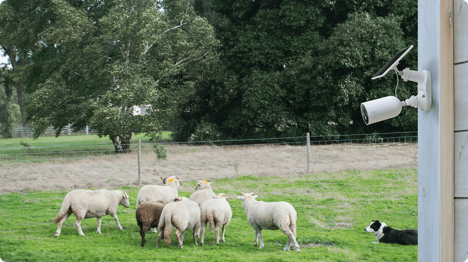 Farm